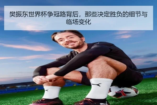樊振东世界杯争冠路背后，那些决定胜负的细节与临场变化 | mktiyu